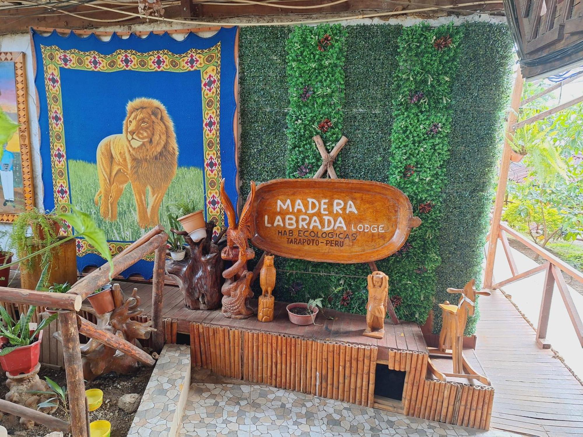 Madera Labrada Lodge Ecologico タラポト エクステリア 写真